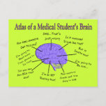 Atlas of a Medical Student's Brain #2 Postcard