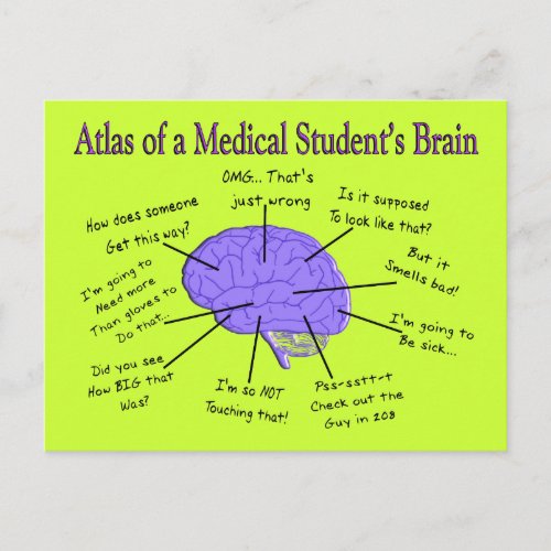 Atlas of a Medical Students Brain 2 Postcard