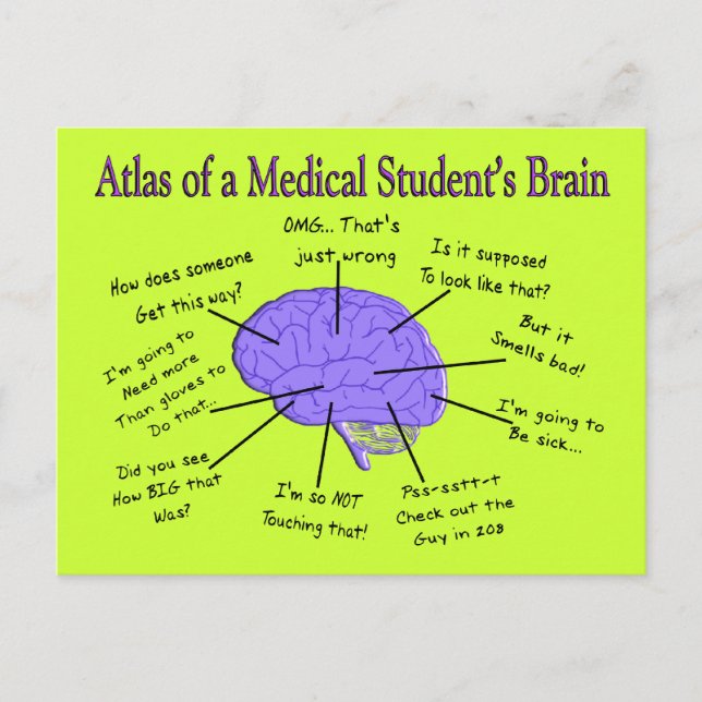 Atlas of a Medical Student's Brain #2 Postcard (Front)
