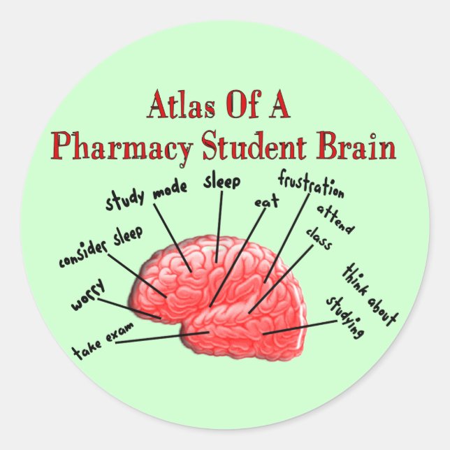 Atlas of a Pharmacy Student Brain Classic Round Sticker (Front)