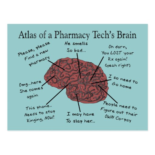 Atlas of a Pharmacy Tech's Brain Postcard | Zazzle