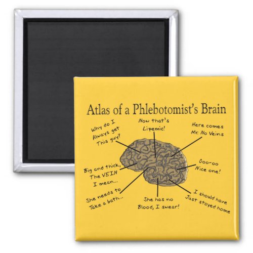 Atlas of a Phlebotomists Brain Magnet