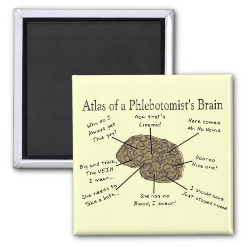 Atlas of a Phlebotomists Brain Magnet