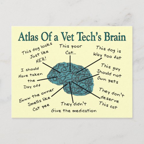 Atlas of a Vet Techs Brain Postcard