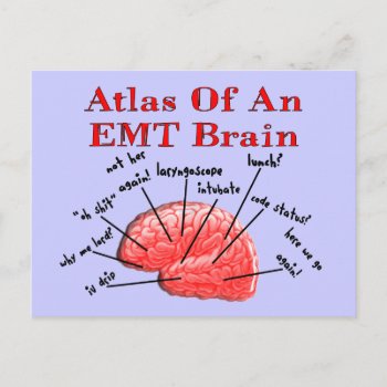 Atlas Of An Emt Brain Postcard by ProfessionalDesigns at Zazzle