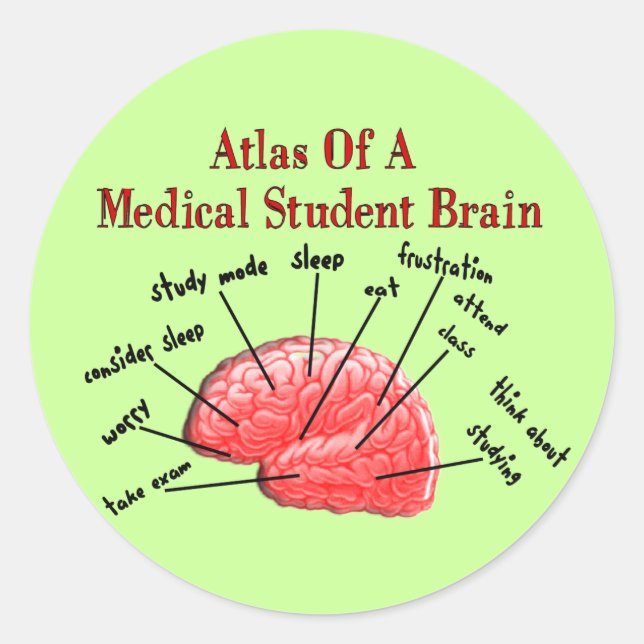 Atlas of Medical Student Brain Classic Round Sticker (Front)