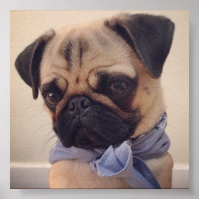 Atlas Poster (Front)