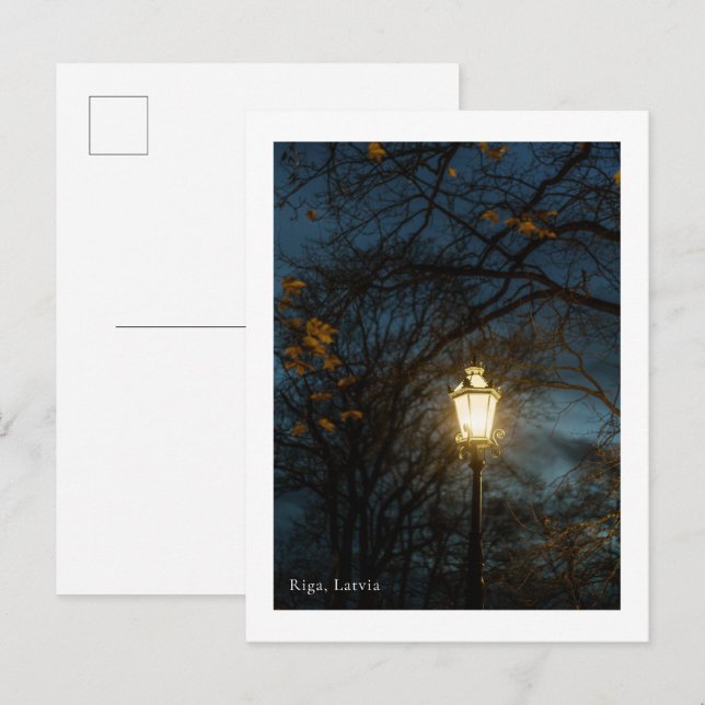 Atmospheric Lantern in Autumn Park, Riga  Postcard (Front/Back)