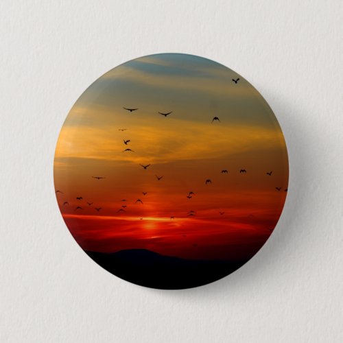 Atmospheric Sky sunset birds beautiful photo Button