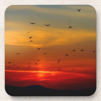 Atmospheric Sky, sunset, birds, beautiful photo Drink Coaster