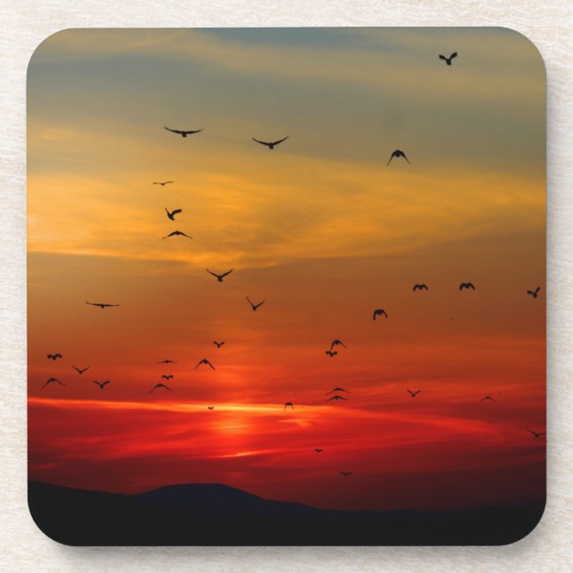 Atmospheric Sky, sunset, birds, beautiful photo Drink Coaster (Front)