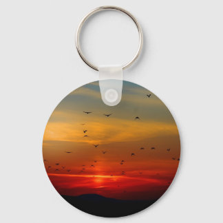 Atmospheric Sky, sunset, birds, beautiful photo Keychain