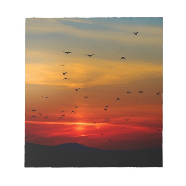 Atmospheric Sky, sunset, birds, beautiful photo Notepad (Front)