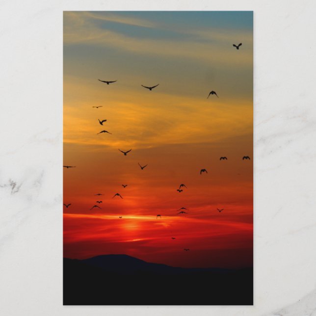 Atmospheric Sky, sunset, birds, beautiful photo Stationery (Front)