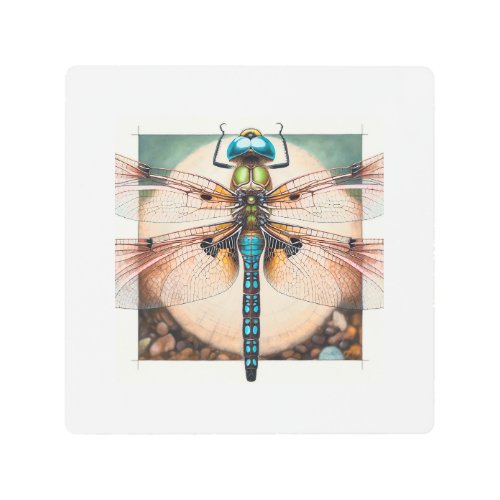 Atoconeura Dragonfly 150624IREF122 _ Watercolor Metal Print