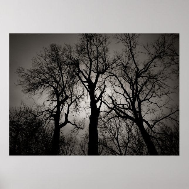 Atomic Cerebellum : Lake Front in Winter Poster (Front)