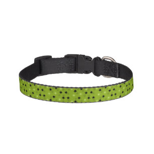 Atomic Green Starbursts Dog Collar