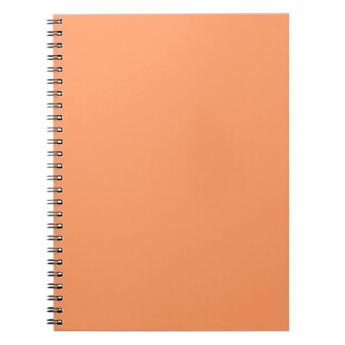 Atomic Tangerine Notebook