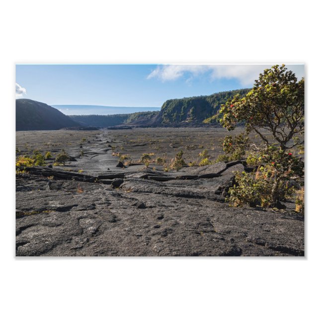  atop dry lava bed of kilauea iki crater photo print (Front)
