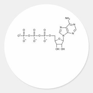 ATP Formula for Biology & Science Teacher Classic Round Sticker