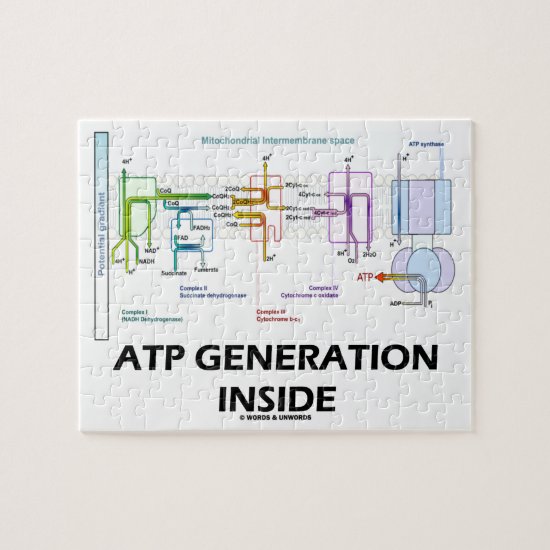 ATP Generation Inside Electron Transport Chain Jigsaw Puzzle