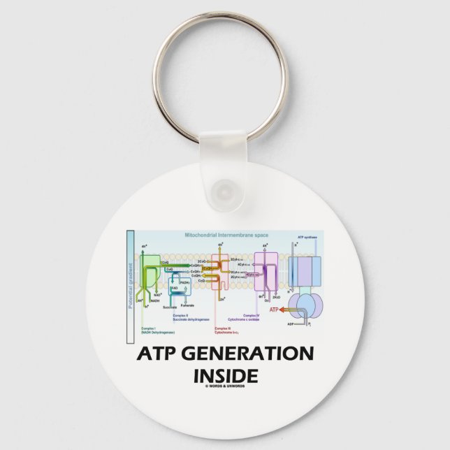 ATP Generation Inside (Electron Transport Chain) Keychain (Front)