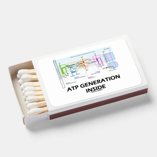 ATP Generation Inside Electron Transport Chain Matchboxes