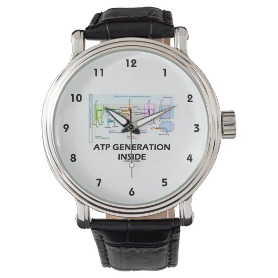 ATP Generation Inside Electron Transport Chain Watch