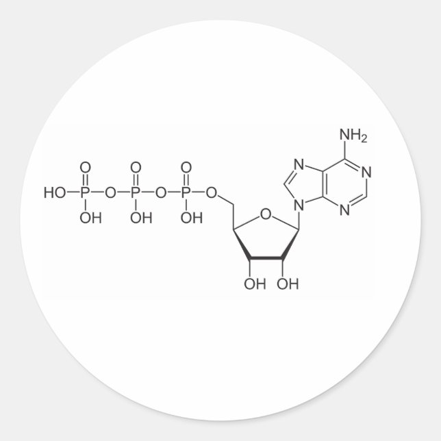 ATP molecule Classic Round Sticker (Front)