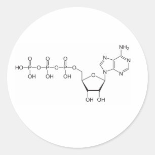 ATP molecule Classic Round Sticker