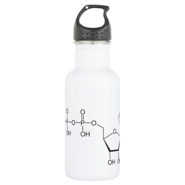 ATP molecule Stainless Steel Water Bottle (Front)