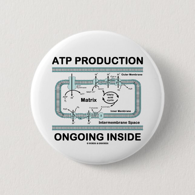 ATP Production Ongoing Inside Button (Front)