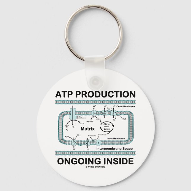 ATP Production Ongoing Inside Keychain (Front)