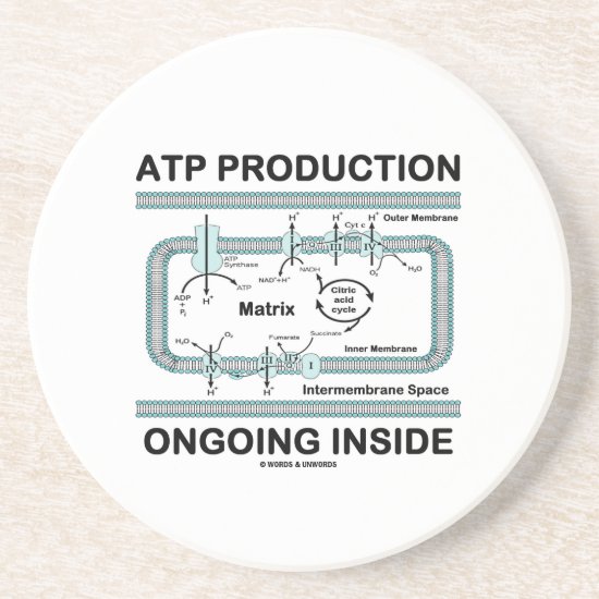 ATP Production Ongoing Inside (Mitochondrion) Coaster