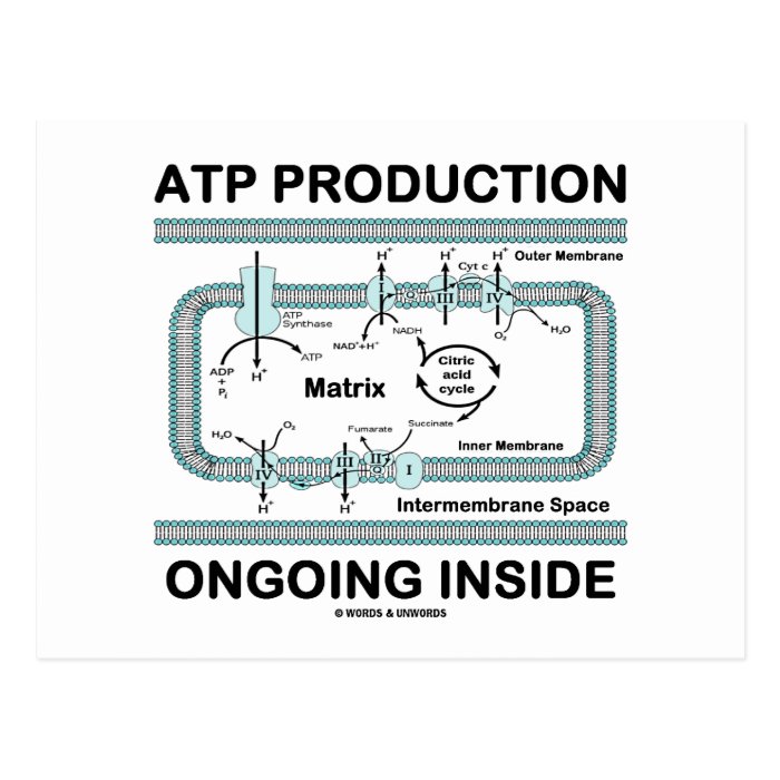 ATP Production Ongoing Inside Postcards