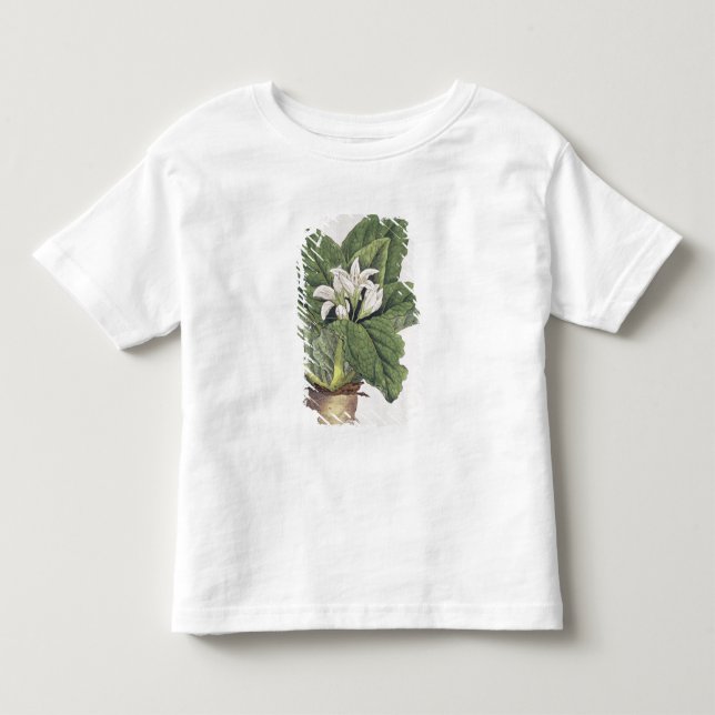 Atropa mandragora toddler t-shirt (Front)