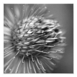 attached - Premium photo printing satin black and