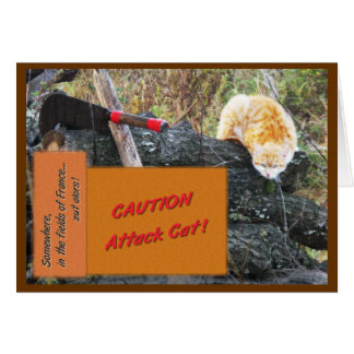 Attack Cat Cards