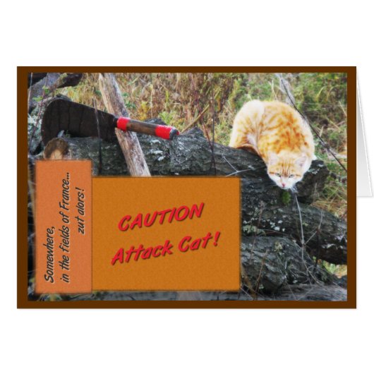 Attack Cat Cards (Front Horizontal)