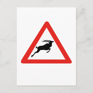 Attention Kudus, Traffic Sign, South Africa Postcard