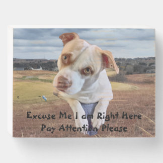 Attention Please Wooden Box Sign
