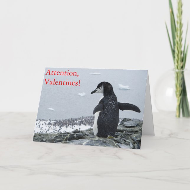 Attention Valentines! Holiday Card (Front)