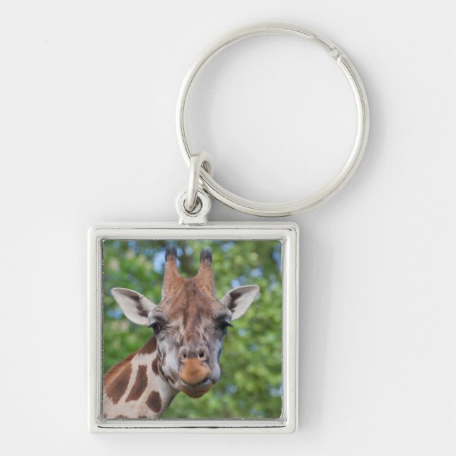 Attentive Giraffe Keychain (Front)