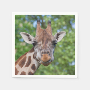 Attentive Giraffe Paper Napkins