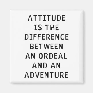 Attitude Difference Magnet