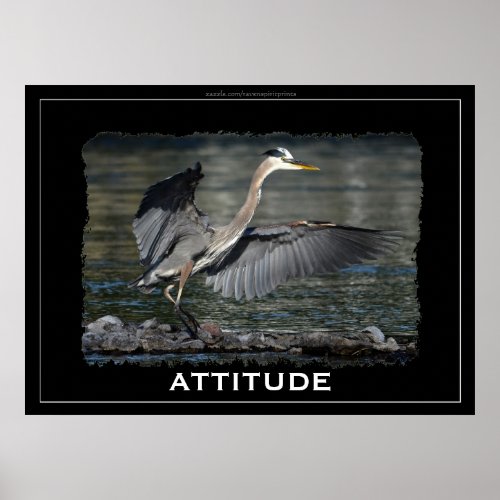 ATTITUDE Strutting Great Blue Heron Photo Poster