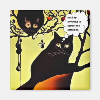 Attracting my attention magnet