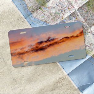 attraction consumption license plate