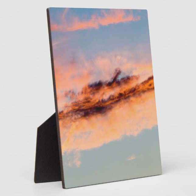 attraction consumption plaque (Side)