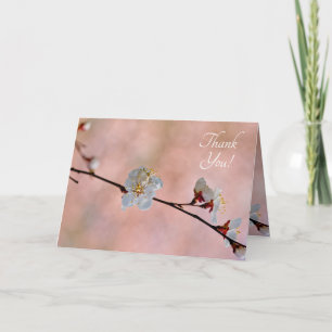 Attractive Japanese Apricot Flowers Letterpress Thank You Card